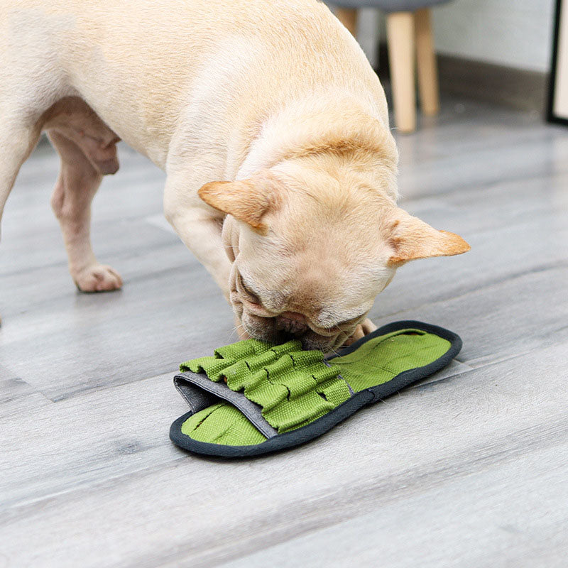 Zapatillas de juguete para masticar perros