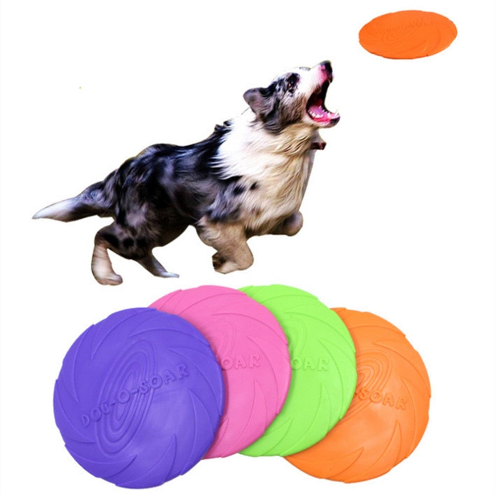 Dog Frisbee